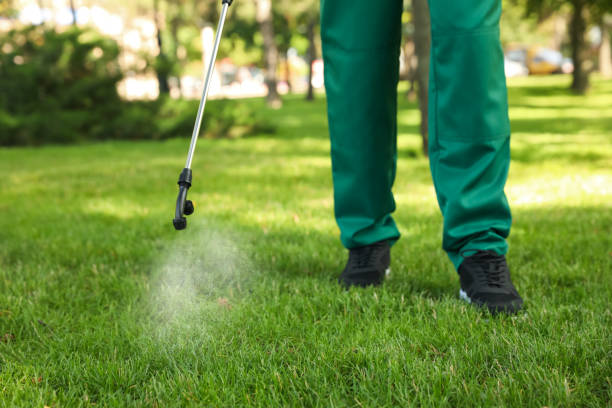 Seasonal Pest Control in St Stephens, NC